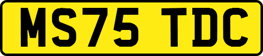MS75TDC