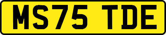 MS75TDE
