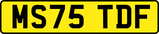 MS75TDF