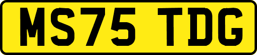 MS75TDG