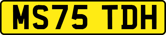 MS75TDH