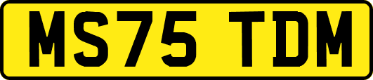 MS75TDM