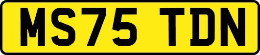MS75TDN