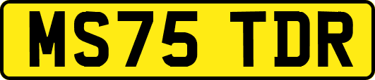 MS75TDR