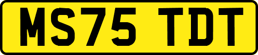 MS75TDT