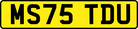 MS75TDU