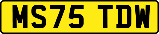 MS75TDW