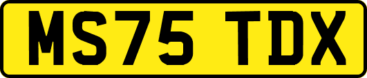 MS75TDX