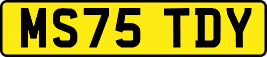 MS75TDY