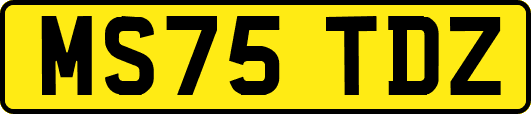 MS75TDZ