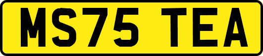 MS75TEA
