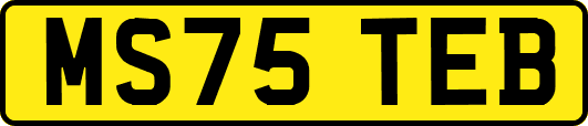 MS75TEB