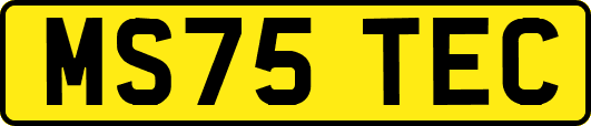 MS75TEC