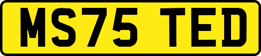 MS75TED