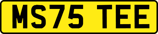 MS75TEE