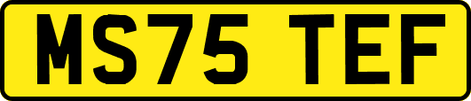 MS75TEF