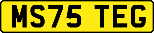 MS75TEG