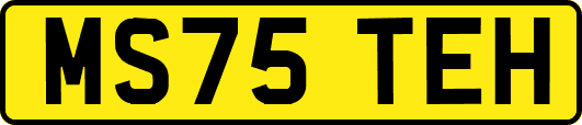 MS75TEH