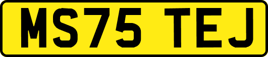 MS75TEJ