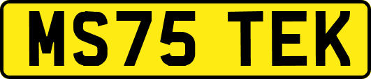 MS75TEK