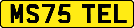 MS75TEL