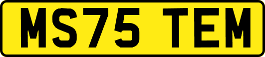 MS75TEM