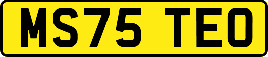 MS75TEO