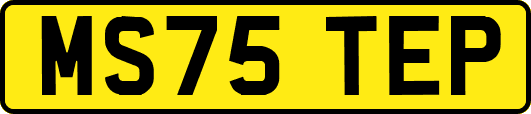 MS75TEP