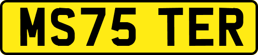 MS75TER