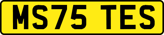 MS75TES
