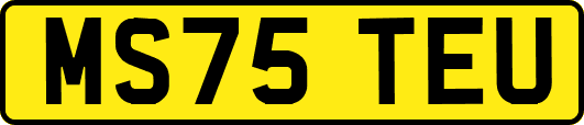 MS75TEU