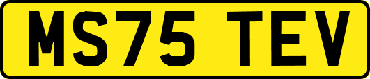MS75TEV