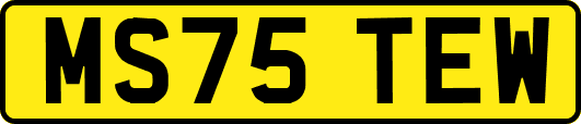 MS75TEW
