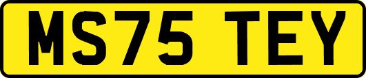MS75TEY