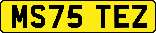 MS75TEZ