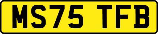 MS75TFB