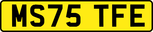 MS75TFE