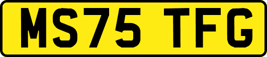 MS75TFG