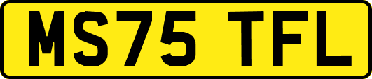 MS75TFL