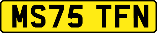MS75TFN