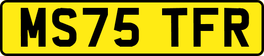MS75TFR