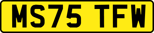 MS75TFW