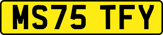 MS75TFY