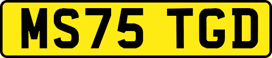 MS75TGD