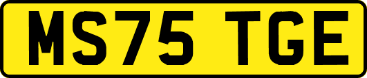 MS75TGE