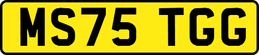 MS75TGG