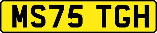 MS75TGH