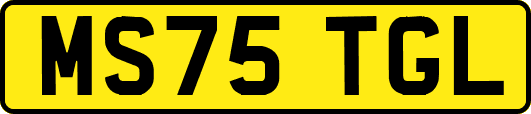 MS75TGL