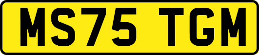 MS75TGM