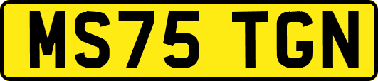 MS75TGN